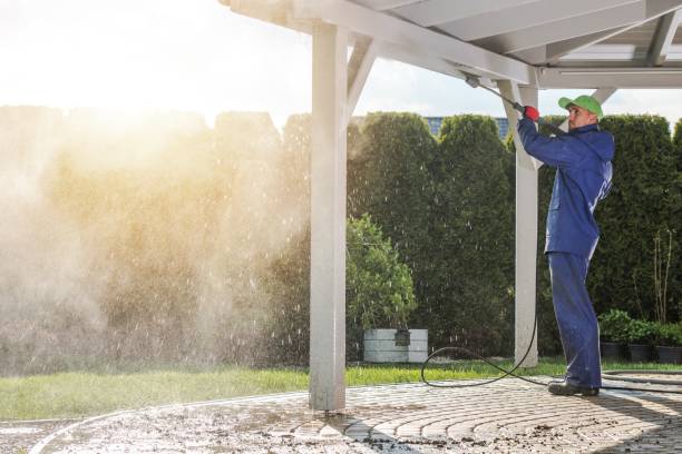 Best Driveway Pressure Washing  in , NV